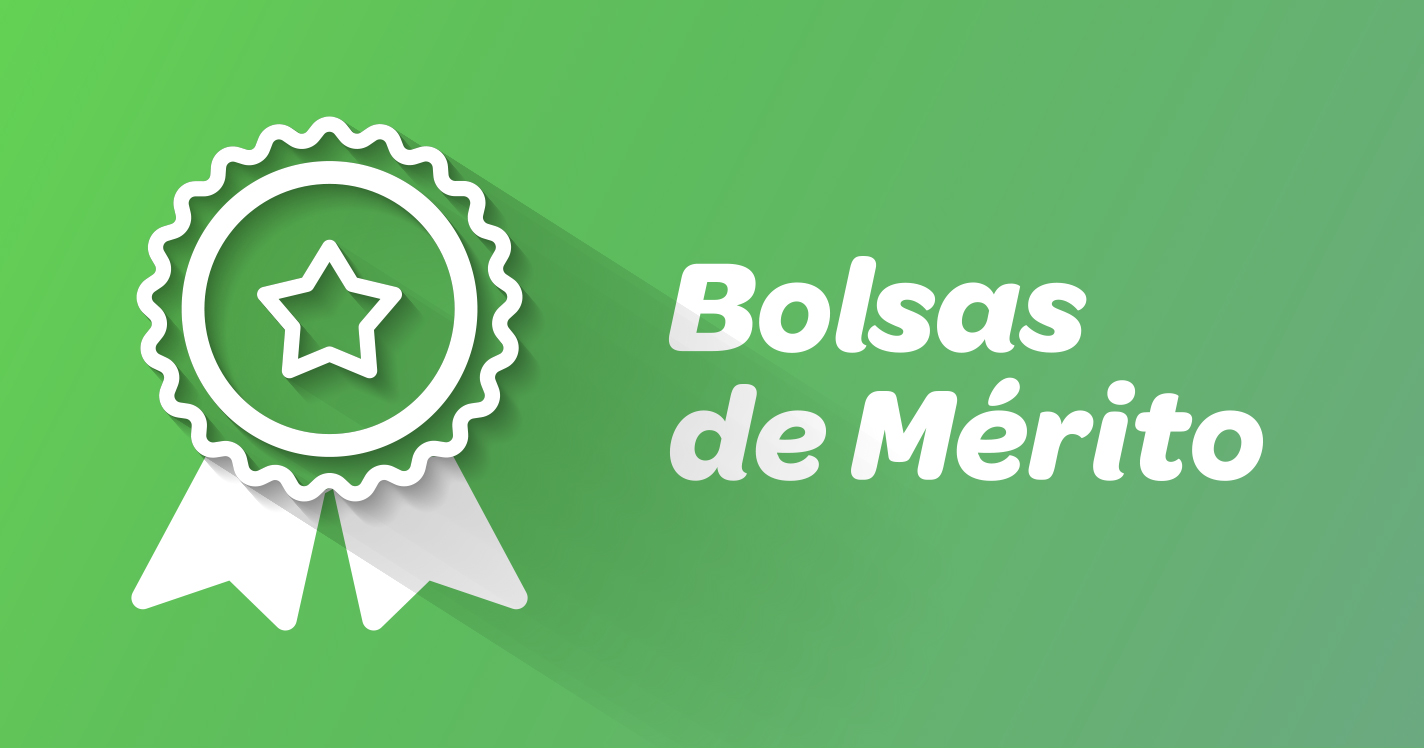 bolsas merito