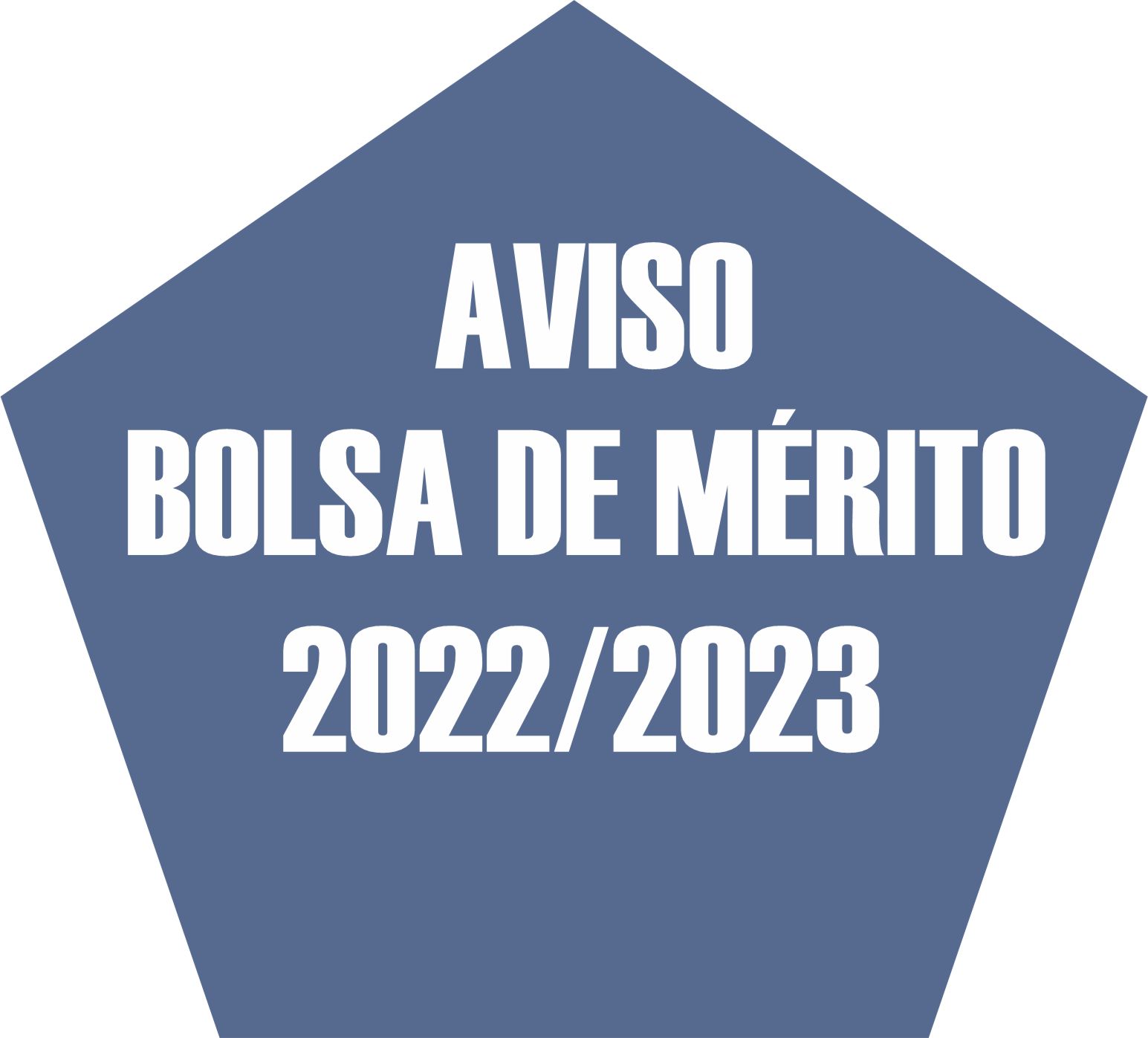 BOLSA MÉRITO wsb