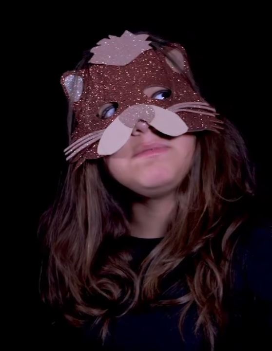 bemestaranimal